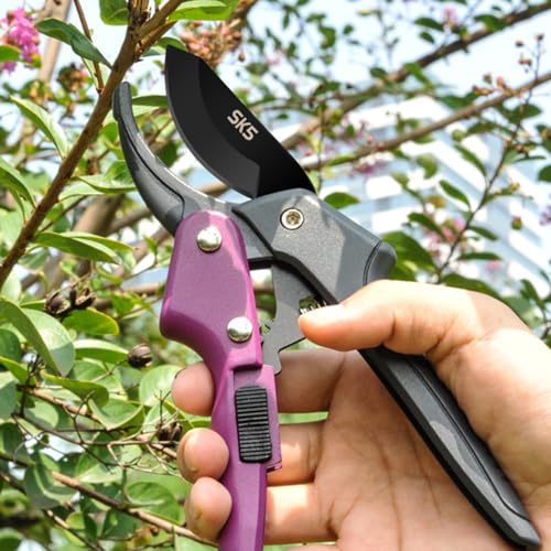 Premium 8 inch garden clippers, 3 Times Easy to Work, Arthritis Weak Hand Snips (Pulley lever -pruners- Purple) - color: Purple