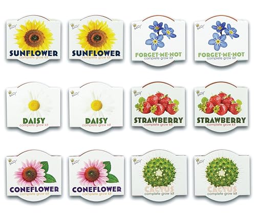 BUZZY Seeds Assorted Flower Grow Kit 12-Pack, Terracotta Pots, 6 Types - color: 12pk Classic - Assorted