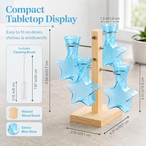 Nacome Plant Terrarium Propagation Stations: Blue Vase with Wooden Stand - color: Blue