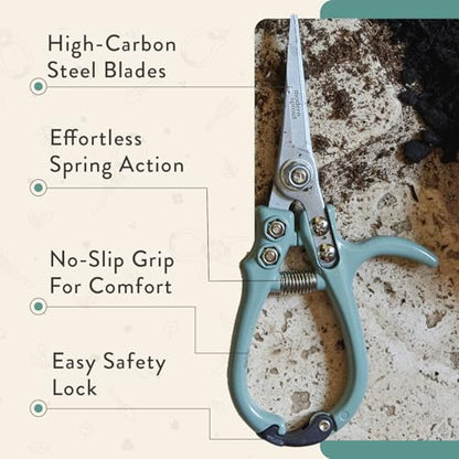 Modern Sprout Pruning Shears - Garden Snips - Herb Scissors - Ocean 1-Pack - color: Ocean