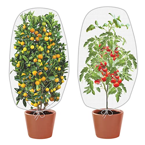 Alpurple 2Pcs 4.6 x 3.9 Ft Garden Plant Netting Mesh Barrier Bags- Fruit Tree Net with Drawstring- Tomato Plant Protective Netting Cover for Protect Plant Fruits Citrus Flower from Insect Bird Eating - color: 2 Pcs, size: 4.6x3.9 ft