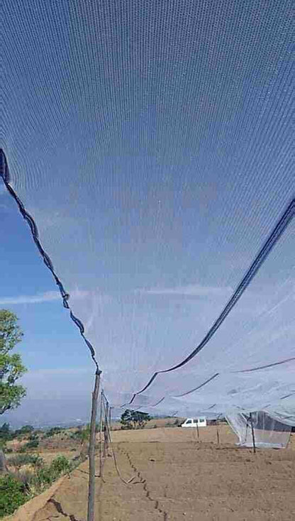 20x75ft/6x23m HDPE Anti Aging Orchard Garden Anti Hail Anti Bird Netting - size: 20 x 75 ft
