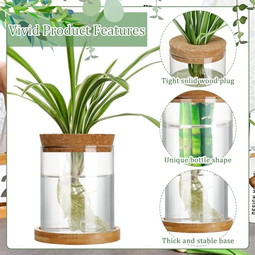 Maxcheck 3 Pcs 3 Sizes Plant Propagation Station Separated Glass Plant Terrarium Water Hydroponic Planter Holder with Lid and Wooden Stand Propagation Vase Pot for Home Indoor Office(Various Sizes) - size: Various Sizes