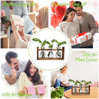 Plant Propagation Station Plant Terrarium Unique Birthday Gifts for Women - color: Gray