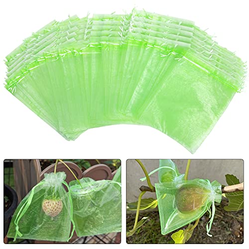 6x8 Inch 100 Pieces Green Fruit Protection Bags- Fruit Netting Bags with Drawstring,Garden Fruit Cover Mesh Bag to Protect Plants from Pest Birds Squirrels - color: Green, size: 6 x 8 Inch