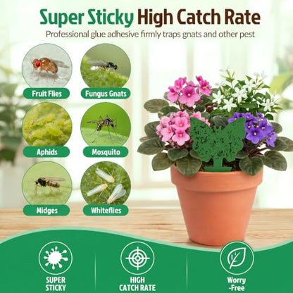 100 Pack Gnat Traps, Double Sided Plant Sticky Traps for Indoor Bug, Green - color: Green