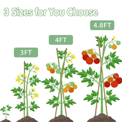 Bamboo Stakes,3FT Natural Bamboo Garden Stakes,BOVITRO 25Pcs Plant Stakes - size: 36 Inches, Pack of 25