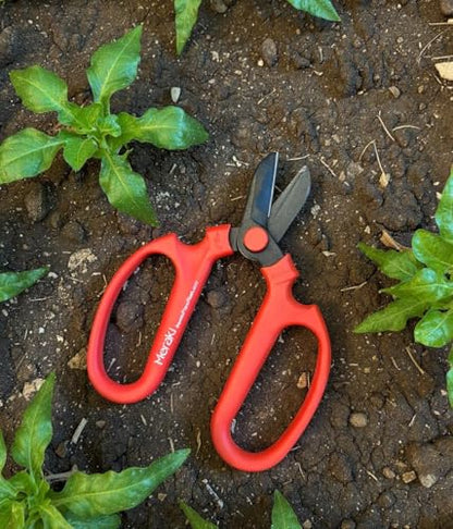 Garden Pruning Shears Scissors With Carbon Steel Blades 6.7 In, Amaryllis - Red - style: 6.7 inch Red