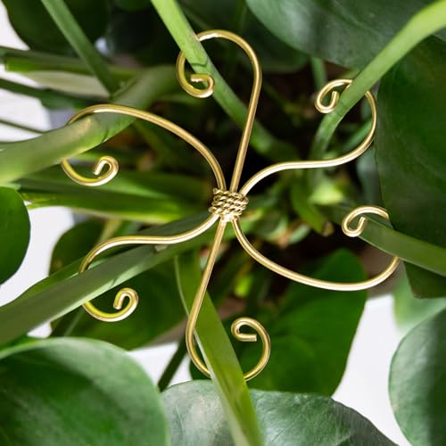5PCS Monstera Plant Support Hooks - 6.5" Durable Metal Stabilizers - size: 6.5 x 6.5 inches