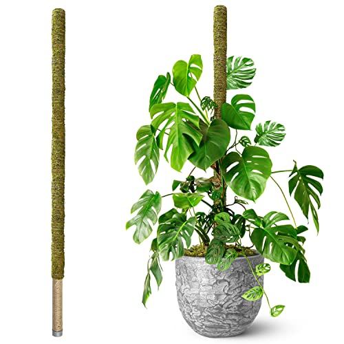 DUSPRO 80" Large Stackable Moss Pole for Plants Monstera, (1pc., 80'') - size: 80'' MOSS POLE for SUPER-BIG PLANTS