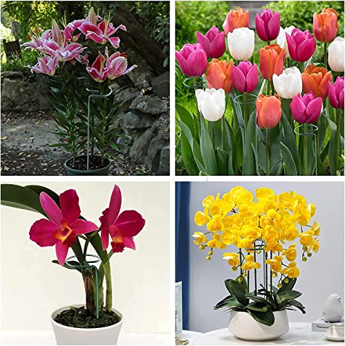 20 Pack 16 Inch Plant Support Stakes for Outdoor Plants and Indoor Flowers - size: 16 inch
