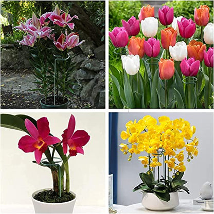 20 Pack 16 Inch Plant Support Stakes for Outdoor Plants and Indoor Flowers - size: 16 inch