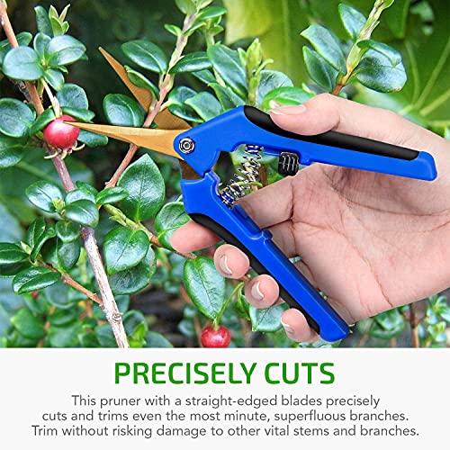 iPower 6.5 Inch Garden Pruning Shears with Titanium Coated Curved Precision Blades, Blue, 1-Pack - color: Blue, size: 1-pack