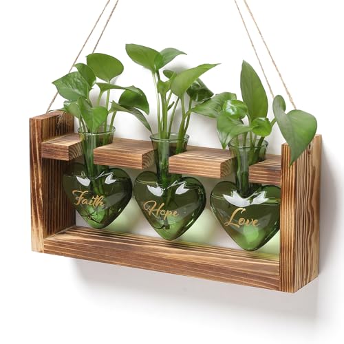 Plant Terrarium Propagation Stations Hydroponics - color: Green(Faith Hope Love)