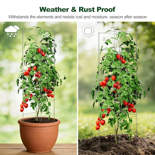 SPECILITE Square Foldable Metal Tomato Cages Heavy Duty for Garden