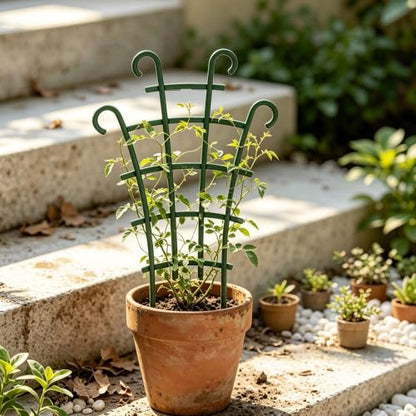 6-Pack Garden Trellis for Indoor Plants - Plant Trellis & Supports for Potted Climbing Plants, Tall Stakes for Pothos Hoya Monstera