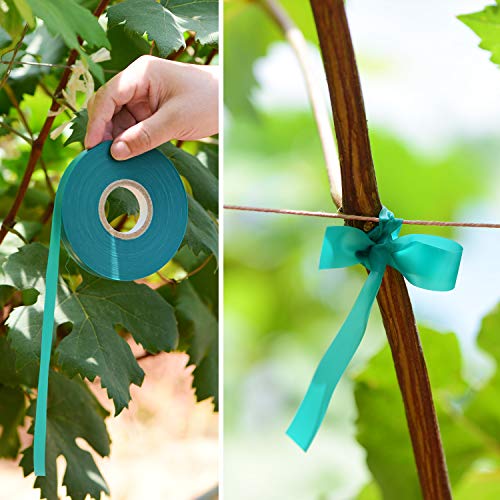 TELENT OUTDOORS 2 Pcs 150 Feet x 1/2" Wide Stretch Tie Tape Green Plant Garden Tie, Garden Vinyl Stake for Branches, Climbing Planters, Flowers - size: 300FT