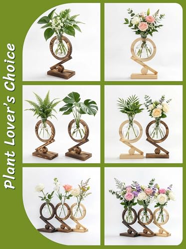 Glass Plant Propagation Station with Wooden Stand, Natural Wood - color: Natural Wood