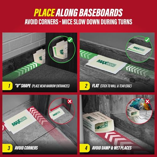 Catchmaster Max Catch Mouse & Insect Glue Traps, Case of 6 Packs of 72 Classic Glue Boards (432 Total), Bulk Mouse Traps Indoor for Home, Pest Control for Industrial & Office Use - style: 432-PK Classic