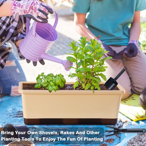Oliz Window Box Planter 8 Pcs, 17 Inches Rectangle Flower Pots with Drainage Holes & Trays, Vegetable Planters for Windowsill Patio Garden Balcony Home Indoor Outdoor (Barley Yellow, 16 * 7 * 6 inch) - color: Barley Yellow