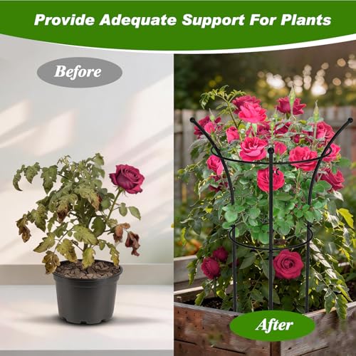 4 Pack Peony Cages and Supports, 12.5"Dx24"H Dual-Ring Metal Plant Supports - color: Black-Metal-4PC
