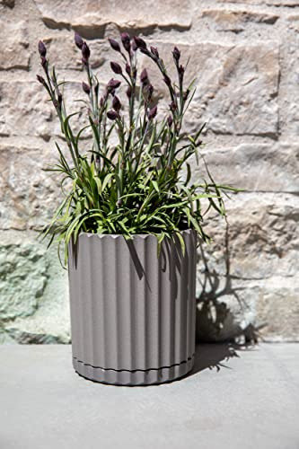 Veradek Demi Series Demi 6" Planter w/Tray - Grey, 2 Pack - color: Gray, size: 6 inch - 2 Pack