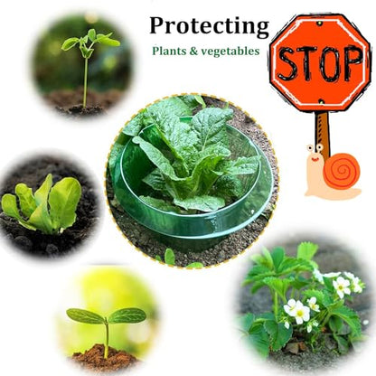 Fshow Garden Cloches，5 Pack Plastic Slug & Snail Plant Protection Collars, Snail Defense Without Chemistry, Planting Rings Protects Plants to Get Better. - color: green 5pcs