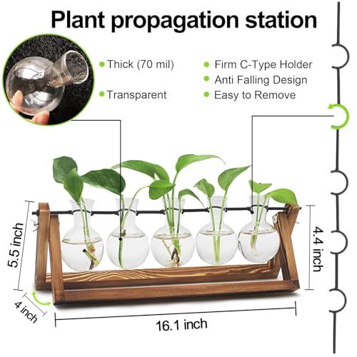 Renmxj Plant Propagation Stations with Wooden Stand & 5 Glass Bulb Vases - size: 5 Bulb Vase