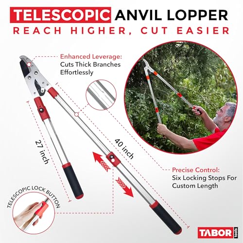 TABOR TOOLS GG22A Extendable Anvil Lopper with Compound Action, 27-40 Inch Telescopic Tree Trimmer & Branch Cutter, Long Reach Tree Pruner with 1 3/4 Inch Cut Capacity, Chops Thick Dry Branches w Ease - style: GG22A 27"-40" Extendable Anvil Lopper with le