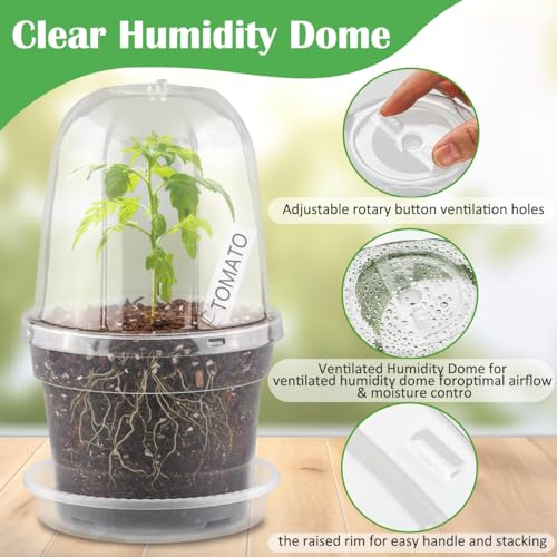 BTPLASTIK 6 Inch Clear Nursery Pots with Humidity Domes 15 Pack, Transparent Plastic Plant Pot with Drainage Holes and Saucers, Seed Starter Pots with 15 Pcs Plant Labels and 15 Pcs Soil Screens - size: 6 Inch-15P-with Humidity Domes