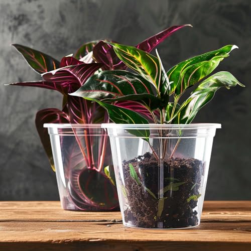 RAOOKIF 30 Pack 1 Gallon Pots with Drainage Holes, 7 Inch Clear Nursery pots, 1 Gallon Plastic Plant Pots for Seedlings, Clear Seed Starters, and Flower Planting - size: 7 Inch