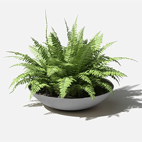 Veradek Mason Series Lane Bowl - Large Outdoor Bowl Planter - color: Gray, size: 8"H x 32"DIA