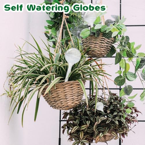 Pynqdfu 20 PCS Clear Plant Watering Globes,Plastic Self-Watering Bulbs,Self Watering Planter Insert Plant Accessories for Plants Indoor,Outdoor,Flowerpot,Home Garden(Large,Medium,Small) - size: 5 Large+5 Medium+10 Small