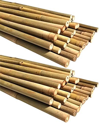 Natural Bamboo Poles, Eco-Friendly Plant Support Garden Stakes 4ft Long, Diameter of 3/8" (50-Count)