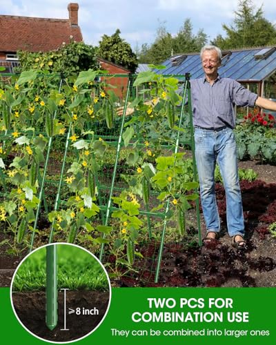 MYMULIKE 2 Pack Cucumber Trellis, Garden Trellis for Climbing Plants Outdoor, A-Frame Cucumber Trellis for Raised Bed, Plant Grow Support for Tomato, Squash, Vegetable, Flower(33"x47"x2Pcs)