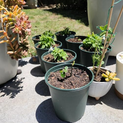1 Gallon Pots for Plants, 10 Pack Thicken Durable Plastic Nursery Pots - color: Green