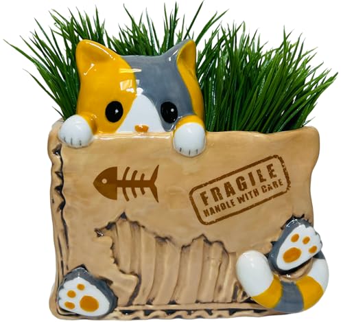 Streamline Imagined Cat in the Box Planter - color: Cat in the Box
