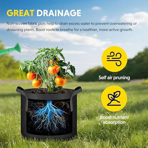iPower Plant Grow Bag 10 Gallon 6-Pack Heavy Duty Fabric Pots, 300g Thick Nonwoven Fabric Containers Aeration with Nylon Handles, for Planting Vegetables, Fruits, Flowers, Black 2024 Version - color: Black, size: 10 Gallon