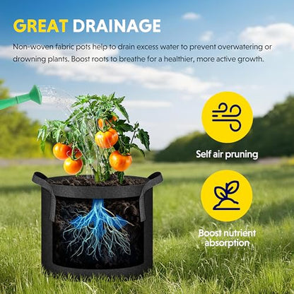 iPower Plant Grow Bag 3 Gallon 6-Pack Heavy Duty Fabric Pots, 300g Thick Nonwoven Fabric Containers Aeration with Nylon Handles, for Planting Vegetables, Fruits, Flowers, Black 2024 Version - color: Black, size: 6pack