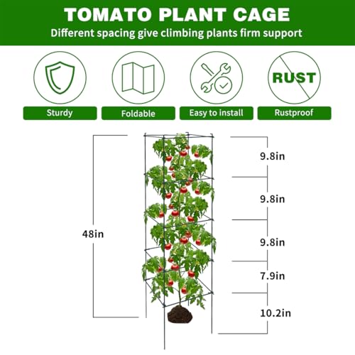 6 Packs Tomato Cages for Garden, 12"×12"×48" Plant Support Cage with Different Spacing, Green Metal Trellis for Climbing Plants Like Cucumber, Flowers - size: 12"×12"×48“ 6 Packs