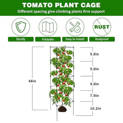 6 Packs Tomato Cages for Garden, 12"×12"×48" Plant Support Cage with Different Spacing, Green Metal Trellis for Climbing Plants Like Cucumber, Flowers - size: 12"×12"×48“ 6 Packs