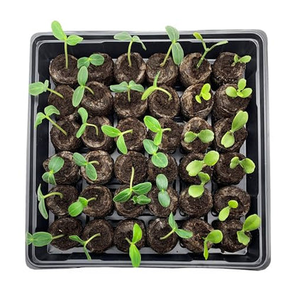 Jiffy Seed Starting Tray Kit - 36 Cell Germination Tray, Portable - 2 Pack, 72 Pellet - style: 2 Greenhouse Kit