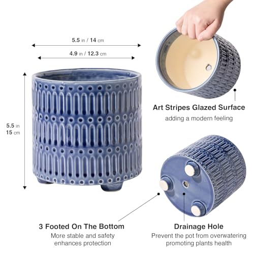 STHIE 5 Inch Ceramic Planters for Indoor Plants, Blue Cactu Snake Plant Pot - color: Reactive Glaze Blue