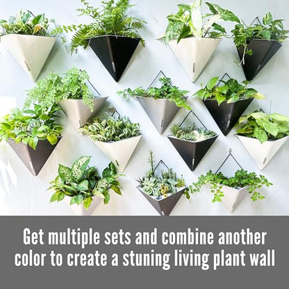 LaLaGreen Wall Planters for Indoor Plants (12in, 2 Pack) White Planter - color: White X 2 Pack