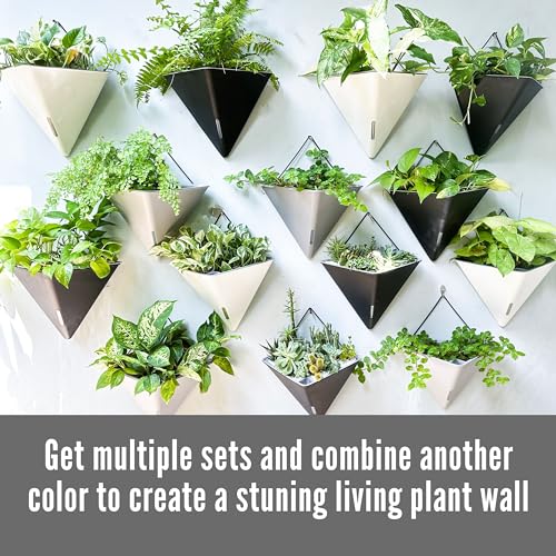 LaLaGreen Wall Planter (12in, 4 Pack) Large Indoor Self Watering Flower Pot - color: White X 2 Pack & Gray X 2 Pack