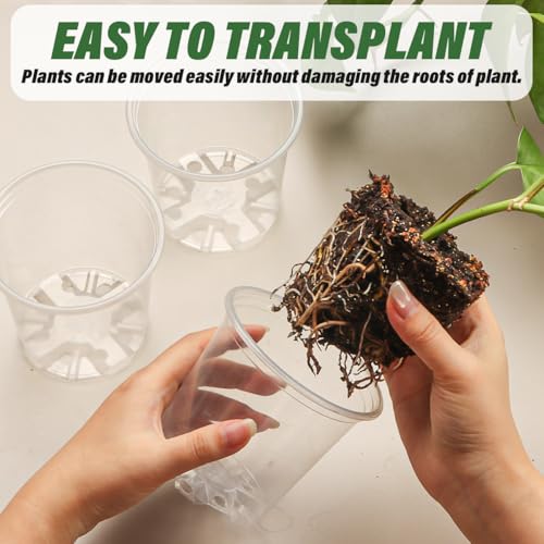 RooTrimmer 3.5" Clear Seeding Pots 100-Pack Round for Seeds Starter Pots, Seeds Germination Transparent Nursery Pots with Drainage Holes (100PCS) - size: 3.5Inch 100P
