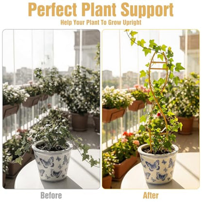 4 Pcs Glod Indoor Plant Trellis for Potted Plants - Durable Metal Climbing Trellis with Unique DNA Spiral Design for Vining Plants, Easy Installation for Indoor & Outdoor Use
