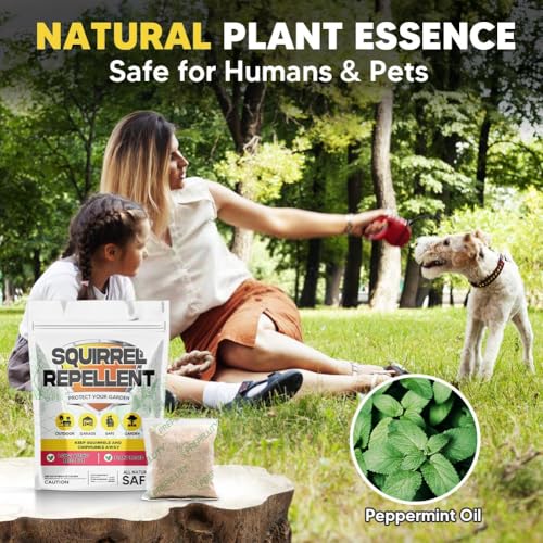 AUDQQM Squirrel Repellent 12 Pouches, Outdoor Chipmunk Repellent - size: 1.4 Ounce (Pack of 12)
