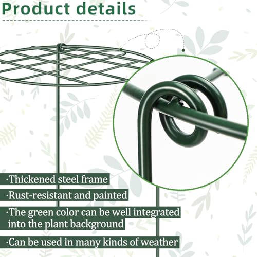6 Pack 12 x 16 Inch Peony Cages and Supports for Outdoor Plants - size: 6pack/12 X 16 inch