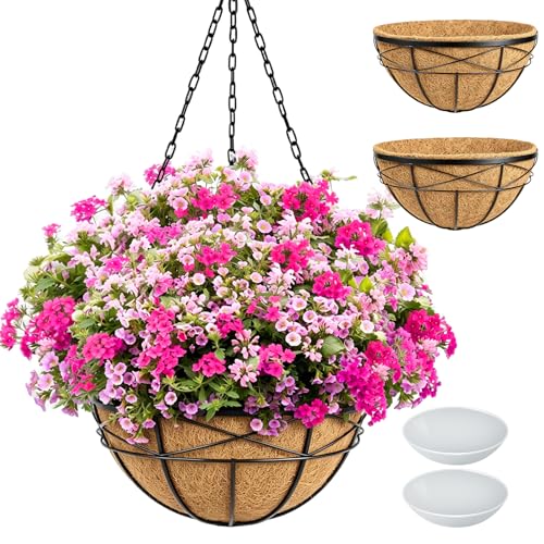 2 Pack 16 Inch Hanging Planters for Outdoor Plants Metal Wire Flower Baskets with Coco Liner & Plastic Saucer Large Deep Hanging Plant Pots for Porch Balcony Garden Décor - color: 2 Pack-black, size: 16 Inch